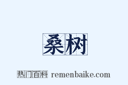 桑树是什么意思的图片